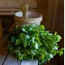 Травяная запарка для бани, сауны и кедровой бочки, От насморка и простуд 1 кг