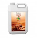 Аромат для сауны Camylle Хвоя 5 л