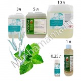 Аромат в сауну Эвкалипт-Ментол