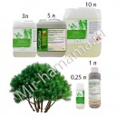 Аромат в сауну Карликовая Сосна