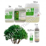 Аромат в сауну Карликовая Сосна