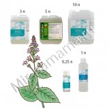 Аромат в сауну Мята перечная